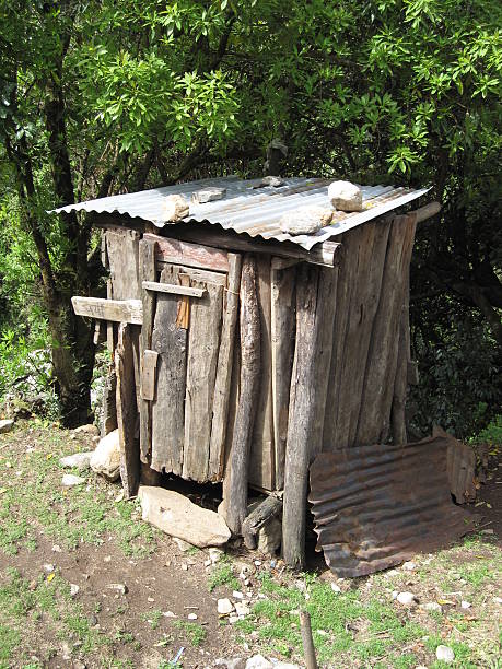 istock Himalayan Wilderness Toilet Hut 521197210