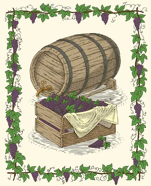 Vector illustration of Oak Barrel and Wooden Box with Ripe Grape