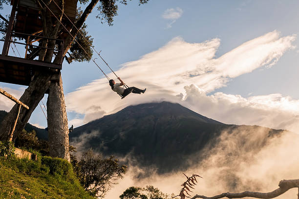 le swing au bout du monde - arbol photos et images de collection