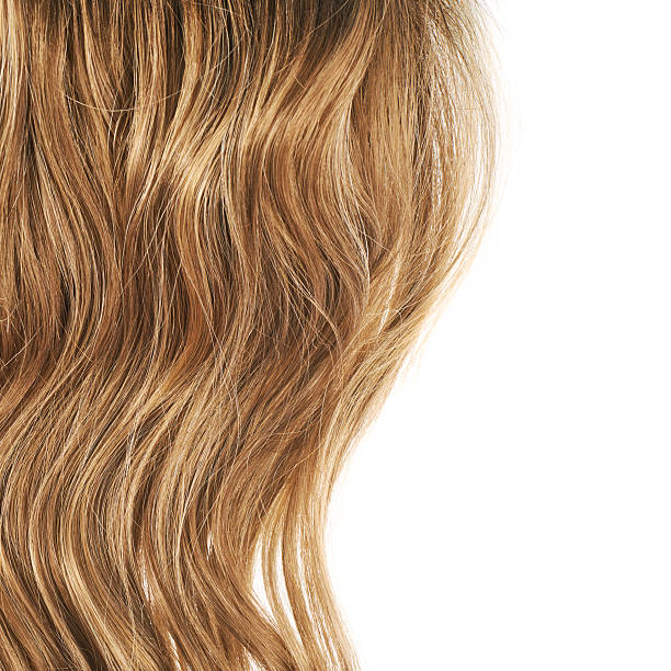 istock Hair fragment over the white 521199406