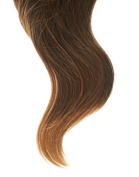 istock Hair fragment over the white 521199484