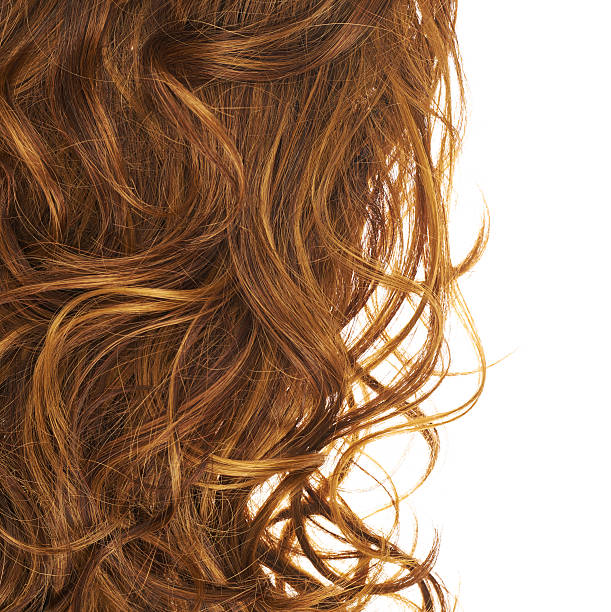 istock Hair fragment over the white 521199834