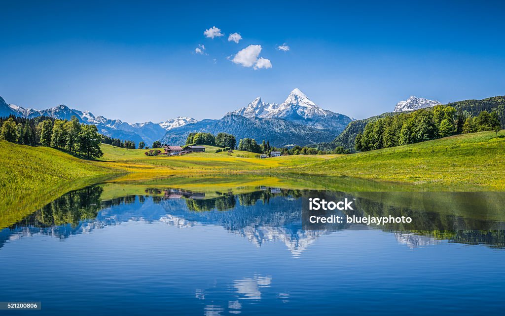 Idyllic summer landscape with clear mountain lake in the Alps Panoramic view of idyllic summer landscape in the Alps with clear mountain lake and fresh green mountain pastures in the background Mountain Stock Photo