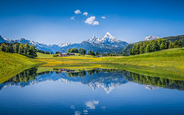 Idyllic summer landscape with clear mountain lake in the Alps Panoramic view of idyllic summer landscape in the Alps with clear mountain lake and fresh green mountain pastures in the background switzerland photos stock pictures, royalty-free photos & images