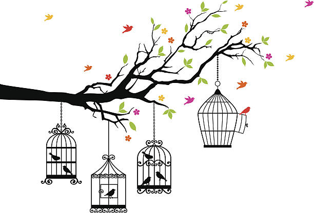 free birds and birdcages, vector freedom, tree branch with birds and open birdcage, vector illustration drawing of spring free stock illustrations