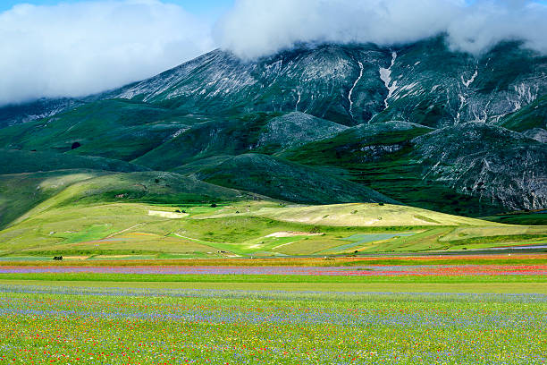 istock Piano Grande di Castelluccio (Italy) 521204503