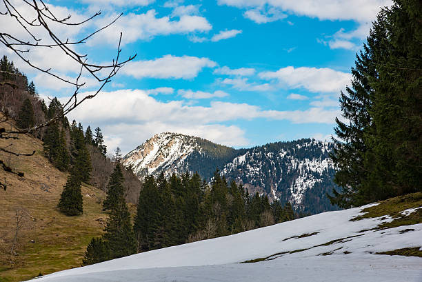 istock Amazing mountain landscape in Bavaria 521204970