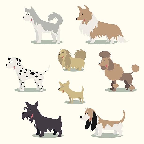 ilustraciones, imágenes clip art, dibujos animados e iconos de stock de vector ilustración conjunto de perros colección - group of dogs