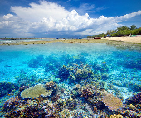 Beautiful Coral Reef island of Gili Trawangan. Indonesia