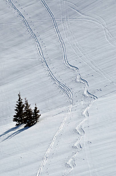 istock Snow background with ski and snowboard tracks 521205763