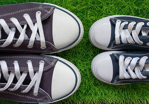 istock Classic sneakers on the green grass 521205780