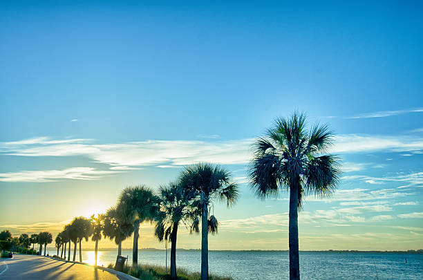 istock miami florida beach scenes on a sunny day 521226232