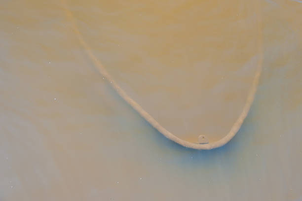 istock Closeup of a sunken rowing boat 521226617