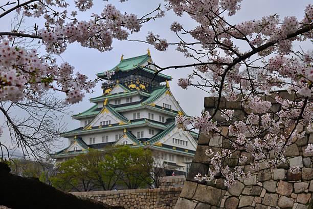 o castelo de osaka em flor de cereja temporada - toyotomi hideyoshi - fotografias e filmes do acervo