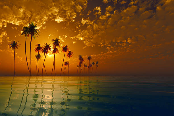 istock tropic island at sunset 521227391