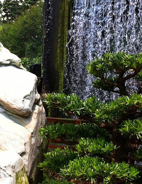 a rock garden with a naturalistic style, featuring numerous rocks, some of which have small water pools in the center and on both sides. the surrounding area is adorned with lush greenery and vibrant flowers