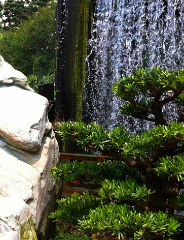 Hong Kong, China - August 30, 2011: This image captures an aspect of the nunnery showing the genius in marrying religion, nature and the environment together creating a beautiful peaceful and calming space.