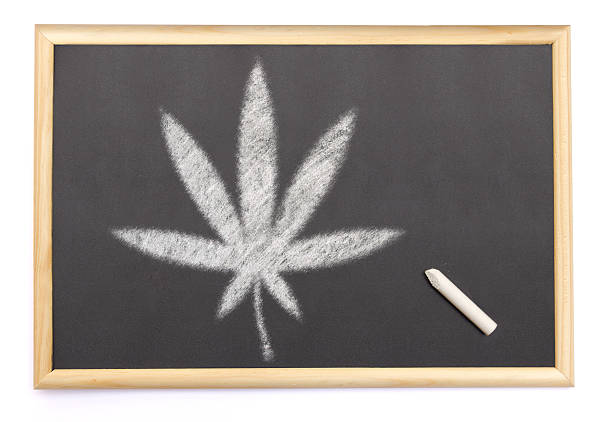 A blackboard with a chalk and the shape of the cannabis symbol drawn onto. (series)