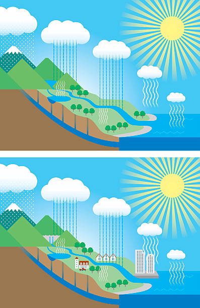 water cycle water cycle estuary stock illustrations
