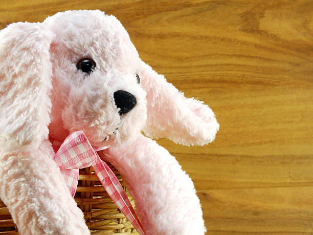 istock cute pink dog doll in the basket 521229768