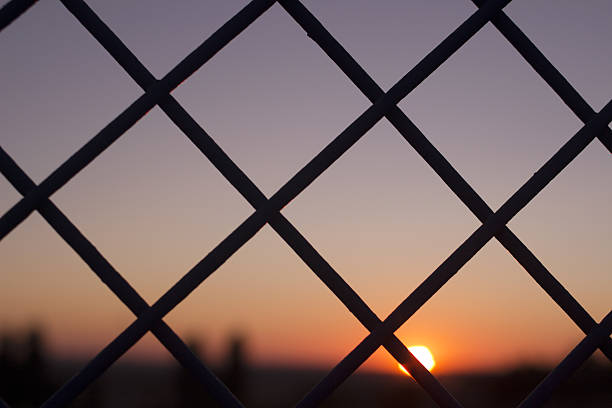 istock Sunset sun and blue dusk sky through wire mesh fence 521230025