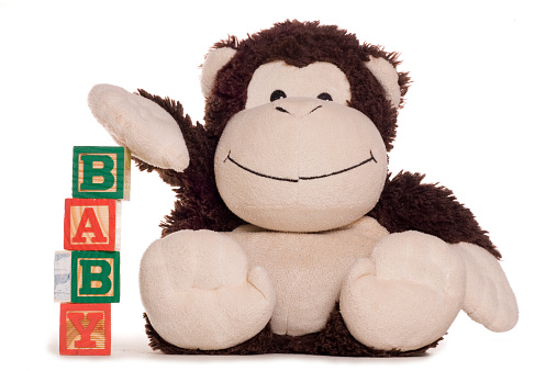 New baby alphabet blocks with soft toy studio cutout