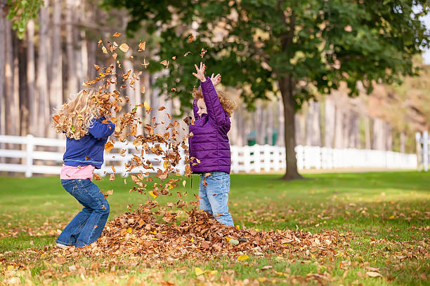 istock Girls Playing in Autumn Leaves 521231663
