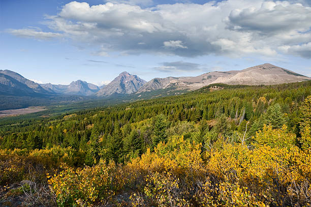 Two Medicine Creek Valley in the Fall Fall comes early to the high country of Montana. While the plains are still baking in the heat of summer, the Continental Divide is taking on the hues of autumn. This scene of the Two Medicine Creek Valley was taken from Looking Glass Hill near Glacier National Park, Montana, USA. jeff goulden glacier national park stock pictures, royalty-free photos & images