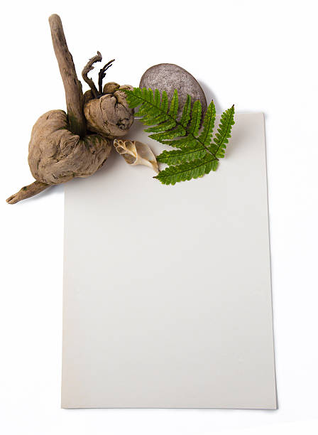 natural still life on a plane sheet of paper