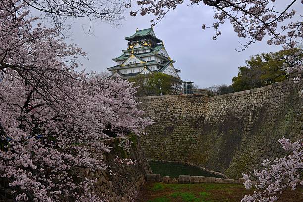 o castelo de osaka em flor de cereja temporada - toyotomi hideyoshi - fotografias e filmes do acervo