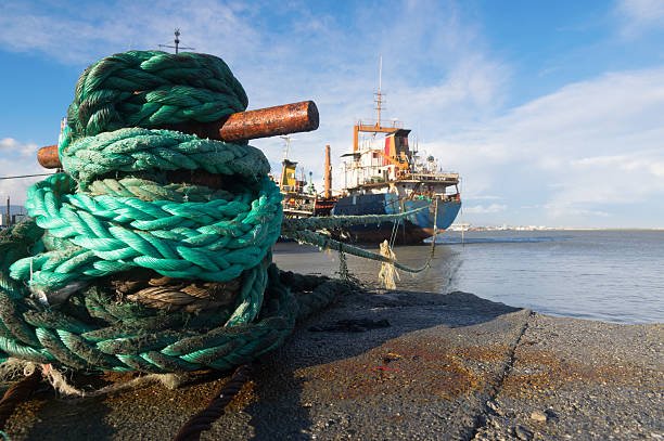 istock ship docked in a sea port 521236712