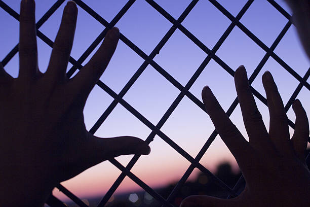 istock Sunset sunset dusk sky wire mesh fence and hands 521245993