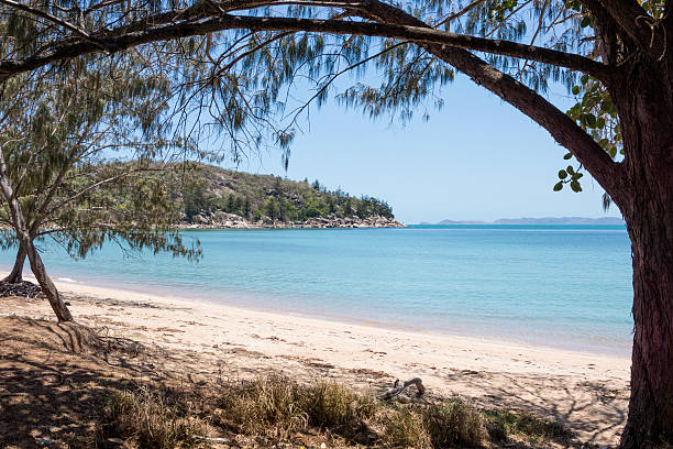 istock Magnetic Island, Australia 521258974