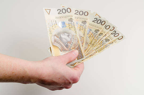 istock Polish money 200 521261912