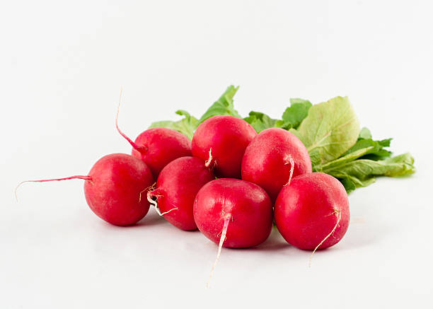 istock Small garden radish isolated on white background cutout 521262853