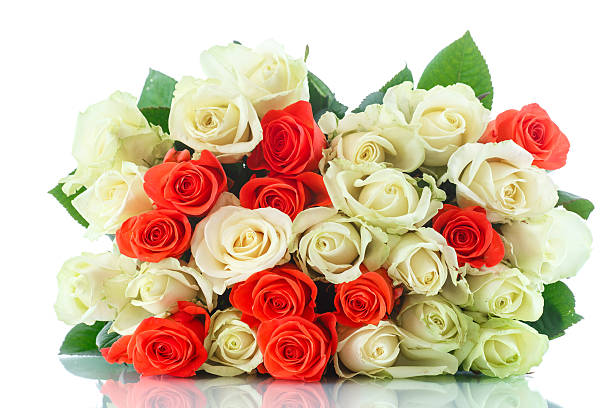 bouquet of red and yellow roses bouquet of red and yellow roses on a white background mothers day horizontal close up flower head stock pictures, royalty-free photos & images