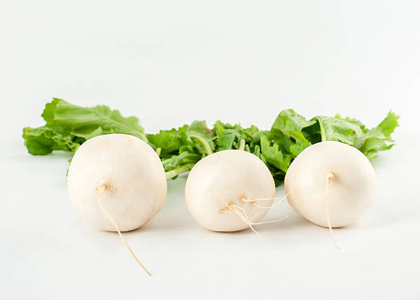 istock Daikon radishes isolated on white background 521262971