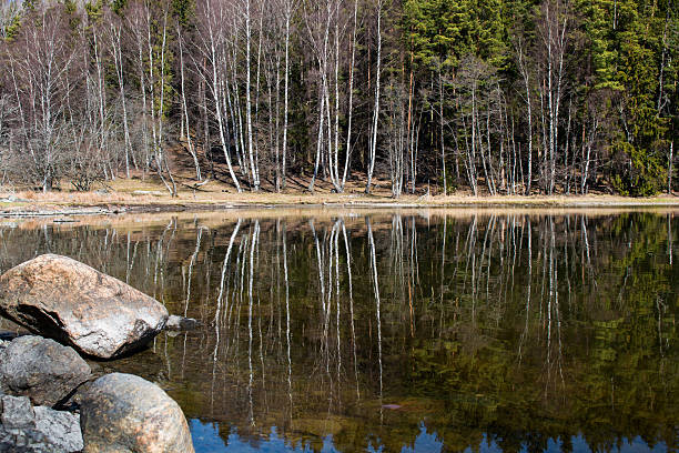 istock Landscape at the Baltic Sea 521262994