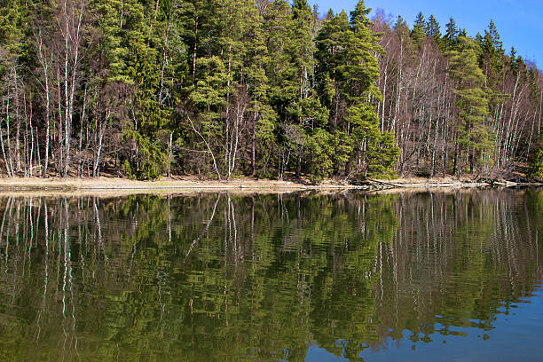 istock Landscape at the Baltic Sea 521263348