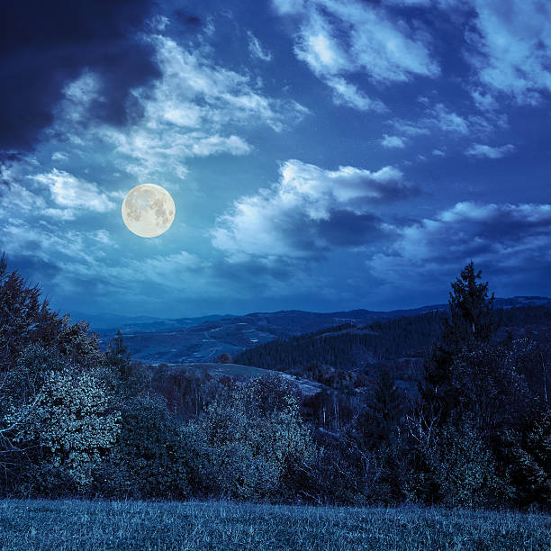 istock trees on autumn meadow in mountains at night 521263413