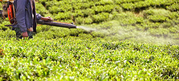 Spraying Against Vermin