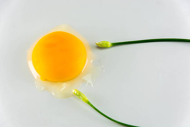 istock Egg with chinese chives on white background, fine art concept 521266427
