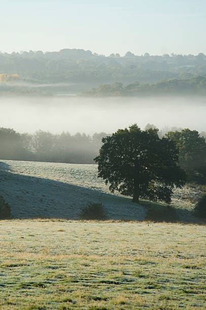 istock Mist Over Frosty English Field 521267335