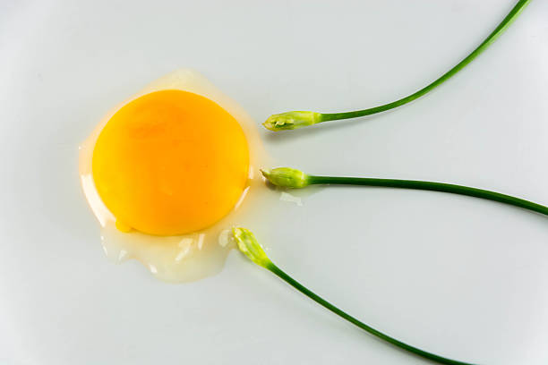 istock Egg with chinese chives on white background, fine art concept 521267635