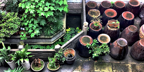 istock Traditional Clay Vinegar Vats Stored Next To Fish Pond. 521268105