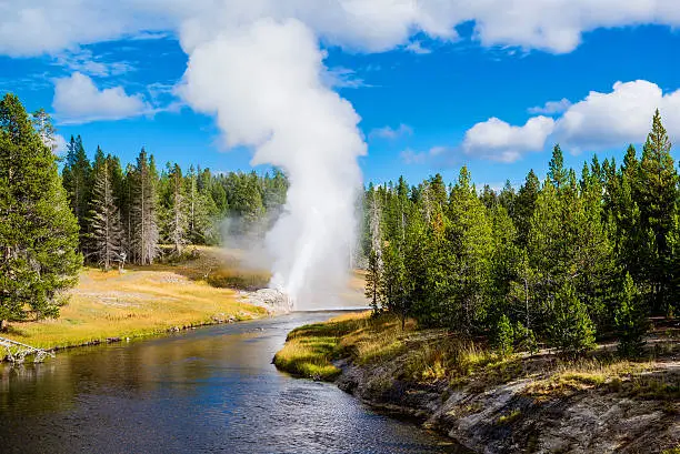 Yellowstone Park (iii)