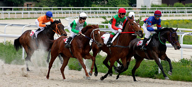 istock Horse racing in Pyatigorsk. 521269498