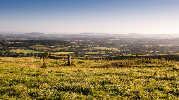 Morning light on the Blackmore Vale Looking over the Blackmore Vale, a rural agricultural valley in North Dorset, from the summit of Okeford Hill in the Dorset Downs. blackmore vale stock pictures, royalty-free photos & images