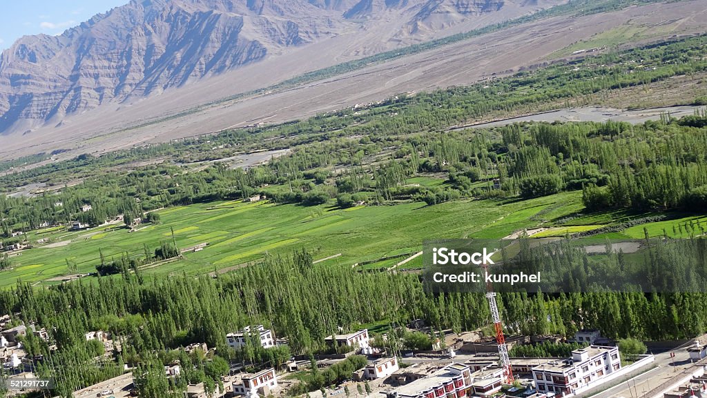 Thiksey landscape Agricultural Field Stock Photo