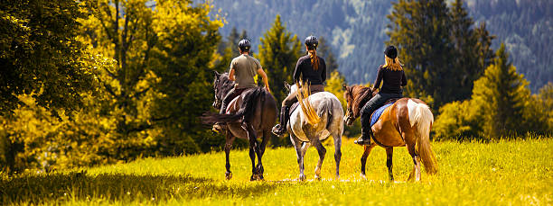 Captured from atop a riding horse (Equus ferus caballus), the photo offers a first-person view of a group of horseback riders traversing a coastal cliffside. The vivid green grass, jagged rocks, and roaring sea below create a dynamic sense of motion and adventure. This photo was taken in the Wild Coast of the Eastern Cape, South Africa.